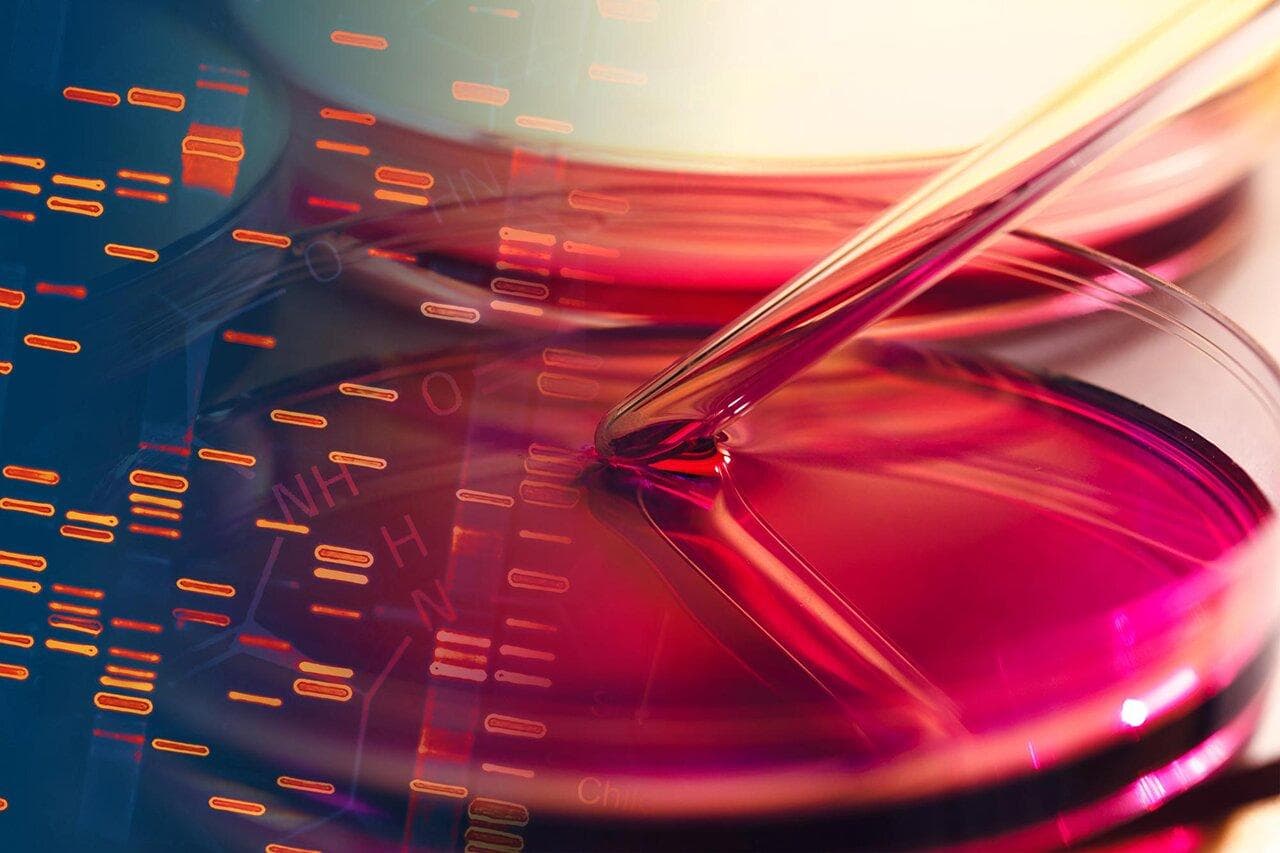 تحولی شگفت‌انگیز در فناوری نانو | ساخت ساختارهای سه‌بعدی با DNA و آب