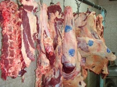 توزیع ۶۰ تن گوشت در میادین میوه و تره بار