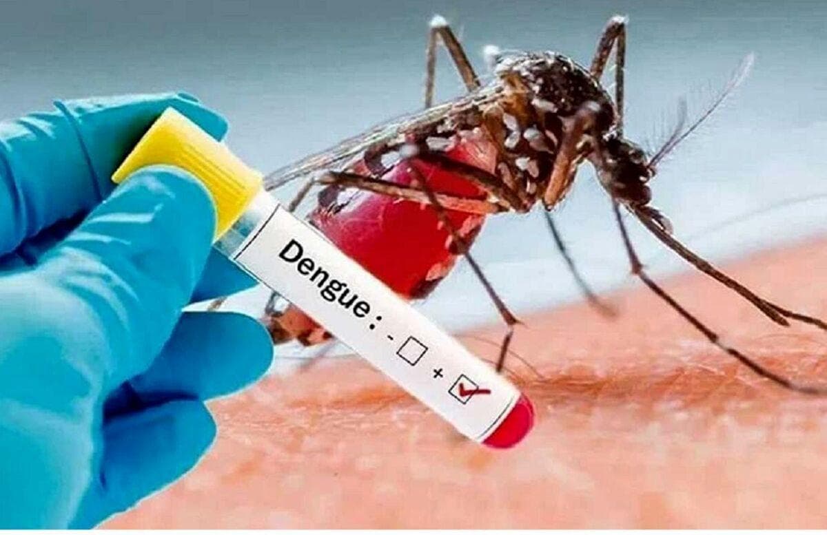 لزوم تلاش همگانی برای پیشگیری از تکثیر پشه آئدس در دیلم