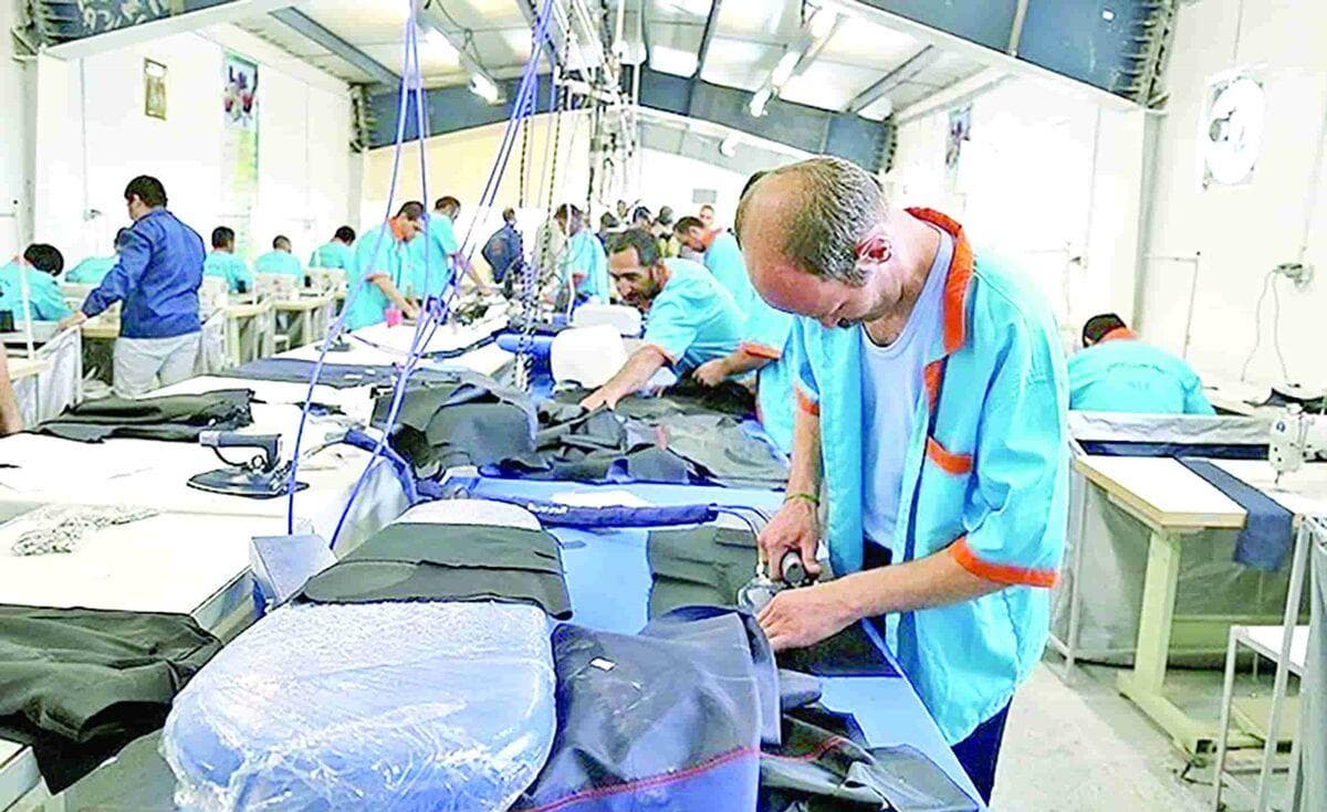 آموزش حرفه‌ای و اشتغال؛ راهکار سازمان زندان‌ها برای بازتوانی زندانیان