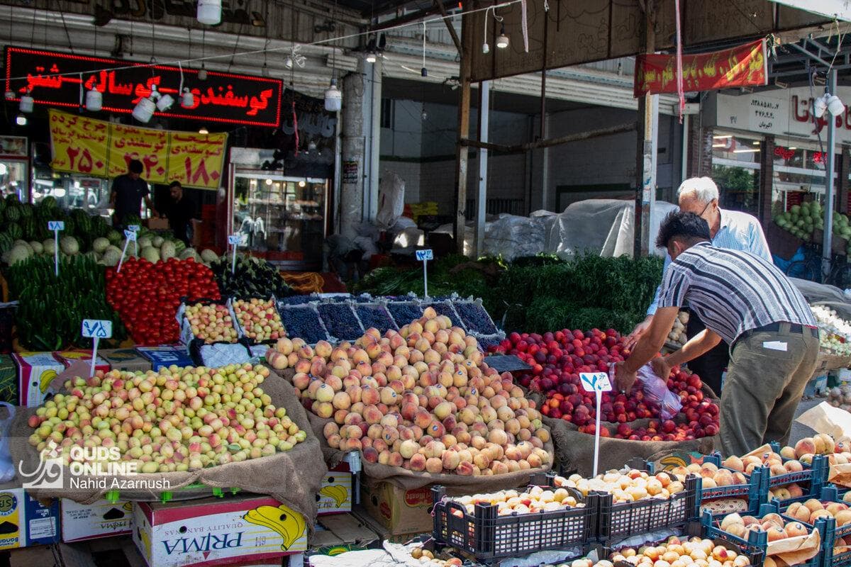 عوامل پنهان افزایش قیمت‌ میوه فاش شد
