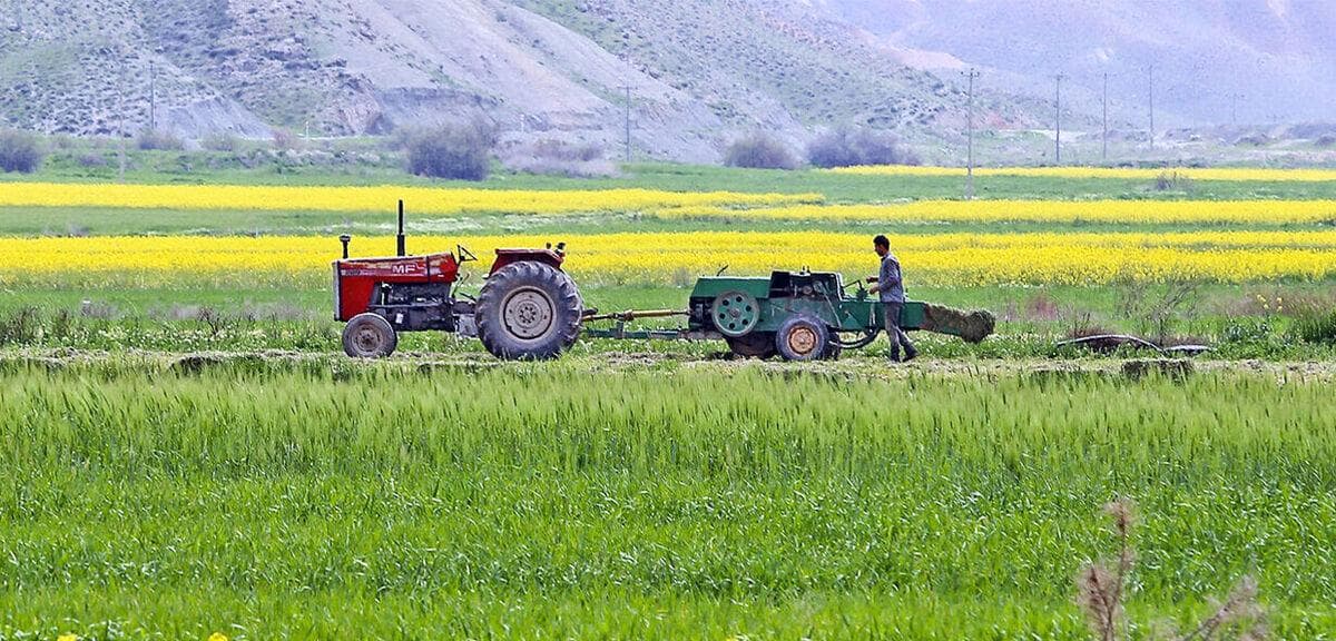 بهره وری آب کشاورزی ایران نصف کشورهای پیشرفته است