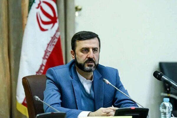 غریب آبادی: در صورت فعال‌سازی مکانیزم ماشه تعامل با آژانس متوقف می‌شود