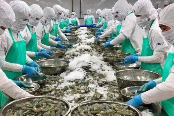 ۲۰ هزار تن محصولات لبنی و خاویاری از مازندران صادر شد