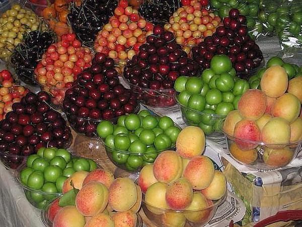 میوه تابستانی کالای لوکس شد