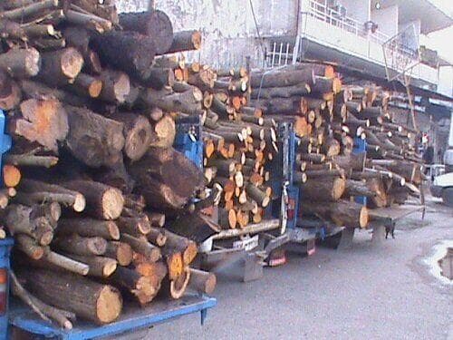 توقیف ۴۰ تن چوب قاچاق جنگلی در صومعه سرا