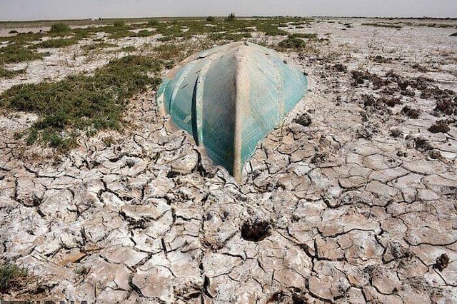بادشکن غیرزنده تالاب هامون؛ تجربه‌ای بومی با هزینه یک‌دهم طرح‌های مشابه