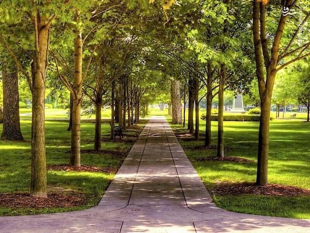 اراضی مورد نیاز برای ایجاد بزرگترین پارک جنگلی استان بوشهر واگذار شود