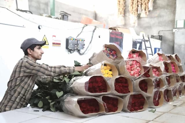 بارانداز صادراتی محصولات گلخانه‌ای؛ یک رؤیای بر زمین مانده