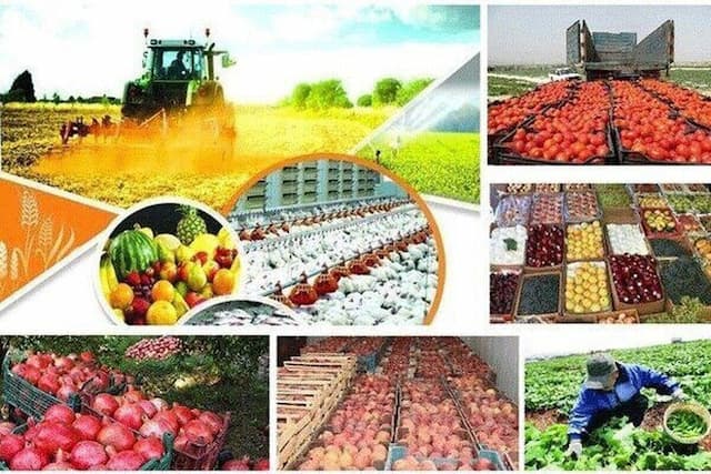 هر یک شغل از ۱۰ شغل جهان مربوط به تعاونی‌ها است