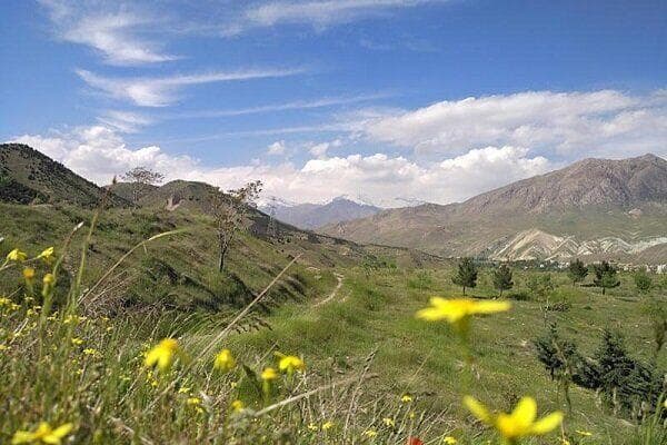 ساخت نیروگاه بدون مجوز در قلب پارک ملی خجیر
