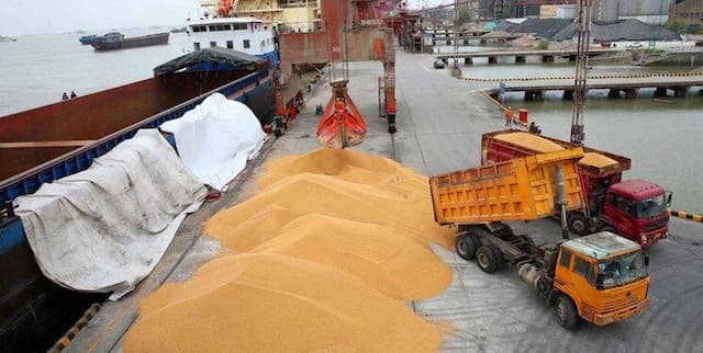 رانت نهاده دامی گوشت را گران کرده است