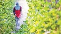 «آفت‌کش‌ها» از ۲ برابر کردن برداشت تا قتل ۲۰۰ هزارنفر