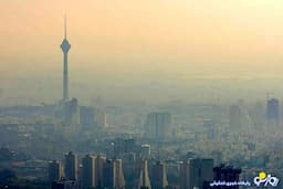 آلودگی هوا در سال ۱۴۰۳ به چند نفر آسیب رساند؟