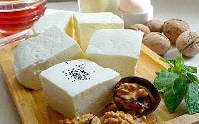 پنیر را با چی بخوریم با چی نخوریم؟ / ترکیب‌هایی که برای بدن مضرند
