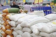قیمت برنج هندی ۳۱ مرداد ۱۴۰۴ / کیسه ۱۰ کیلویی برنج هندی چند؟ + جدول (خاطره، طبیعت، محسن و...)