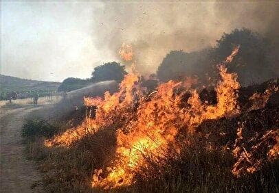 آتش سوزی گسترده در حاشیه پارک ملی تهران