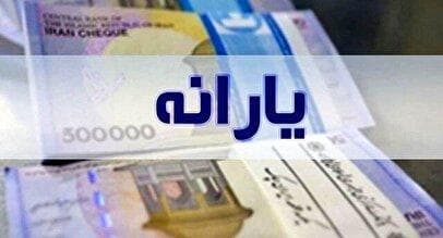 ۳ روش اصلی اعتراض به قطع یارانه / سرپرستان خانوار بخوانند