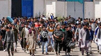 آخرین آمار از افغان‌های غیرمجاز در ایران