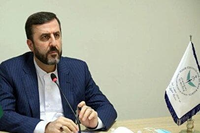 غریب آبادی: اگر مکانیسم ماشه فعال شود تعامل با آژانس متوقف می‌شود