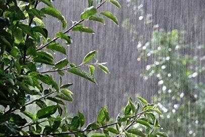 هواشناسی ایران امروز شنبه ۸ شهریور ماه ۱۴۰۴۰/ ۵ استان کشور برای بارش باران آماده باشند+نقشه هواشناسی