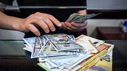 دولت به تک‌نرخی کردن ارز مکلف شد