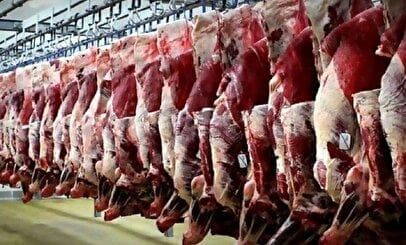 دلیل افزایش قیمت گوشت قرمز در سال ۱۴۰۴ اعلام شد