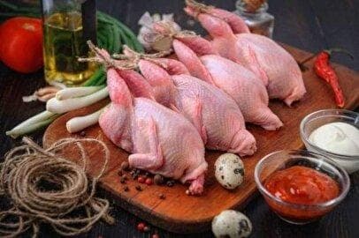 قیمت جدید گوشت و تخم بلدرچین / بلدرچین کامل کیلویی چند؟