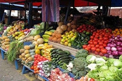 شوک قیمتی در سبزیجات: کاهو سالادی ۱۲۰ هزار تومان شد!