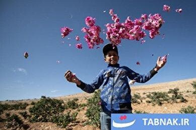عکس‌های روز جهان:از دریچه تابناک