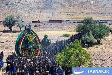 نخل برداری در شهرستان تفت یزد