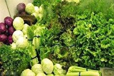 شوک گرمایی به بازار میوه و صیفی/ نمی توانید قیمت خیار مدیریت کنید استعفا دهید!