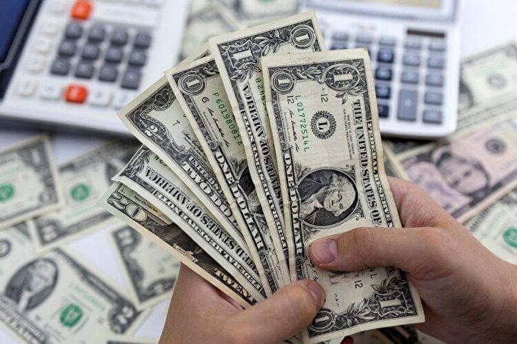 جدال فرزین و مدنی‌زاده بر سر حذف یک رانت/ اختلاف چشمگیر دلار چندنرخی به نفع چه گروهی است؟