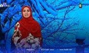 فیلم | برق شبکه سه در پخش زنده رفت؛ مجری: به ما ربطی ندارد