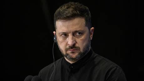 Zelensky doesn’t want peace – human rights lawyer