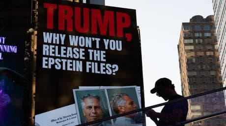 Epstein didn’t kill himself – Maxwell