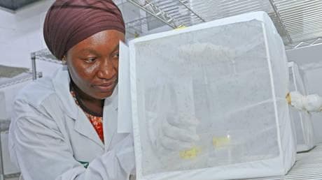 African state suspends health project funded by Bill Gates