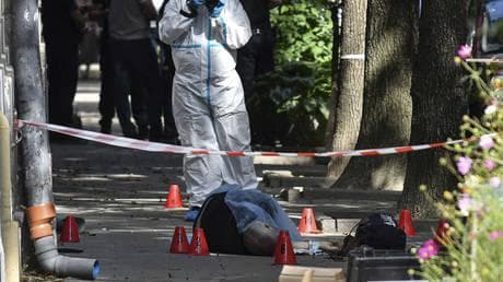 Suspected assassin of Neo-Nazi Ukrainian MP detained – Zelensky