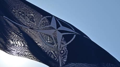 European NATO states have ‘no political will’ – US envoy