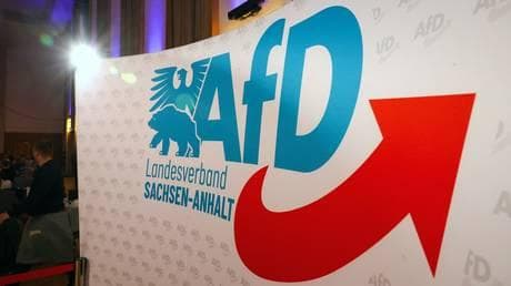 AfD polling higher than ever ahead of key regional vote