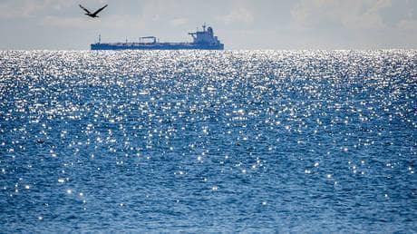 India’s imports of Russian oil rise – media