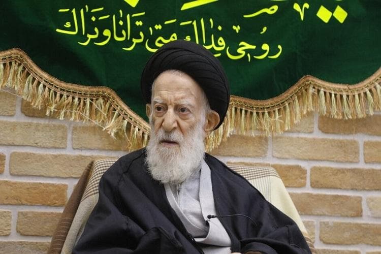 ماجرای تربت امام حسین(ع) و صاحب ریاض از زبان آیت‌الله العظمی شبیری زنجانی