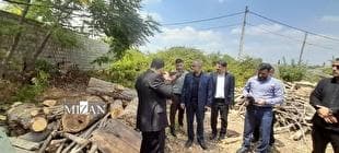 دادستان ساری: نصب دوربین‌های نظارتی و ثبت اطلاعات در سامانه‌ها در مراکز دپوی چوب ضروری است