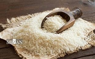 دلایل گرانی برنج پاکستانی در بازار؛ از سهم پایین واردات و افزایش قیمت تمام‌شده تا قاطی‌کردن با برنج ایرانی
