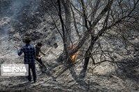 اطفا حریق در سفیدکوه لرستان