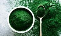 تولید بیش از ۶ هزار کیلوگرم خمیر جلبک اسپیرولینا در فارس