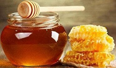 صادرات ۴۰ درصدی عسل خراسان جنوبی به کشور‌های خارجی