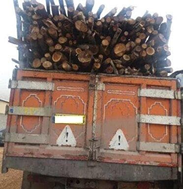 کشف ۱۰ تن چوب قاچاق در اسلام آباد غرب