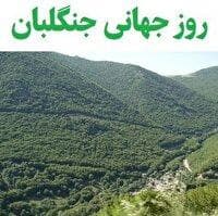 تجلیل از جنگلبانان فارس
