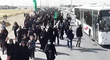 خدمات‌رسانی ۷۰ دستگاه اتوبوس در کنار محدودیت‌های رانندگی اربعین